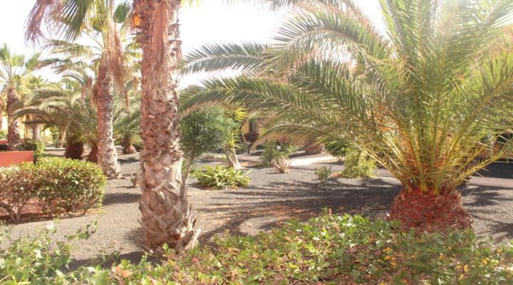 Apartamento Casa Marilyn Corralejo