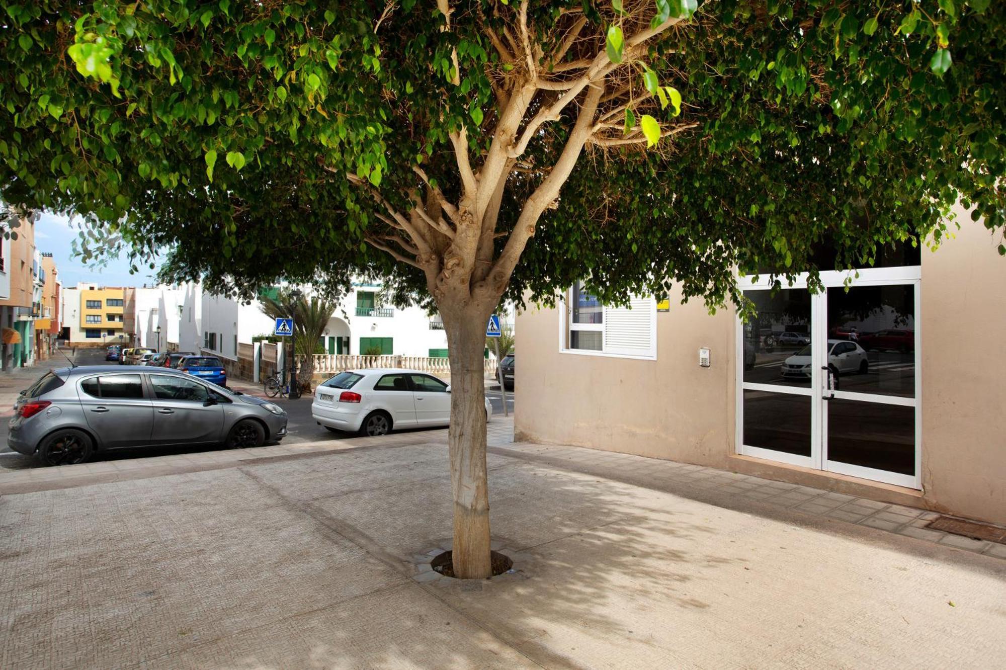 Apartment Piso Del Mar Corralejo