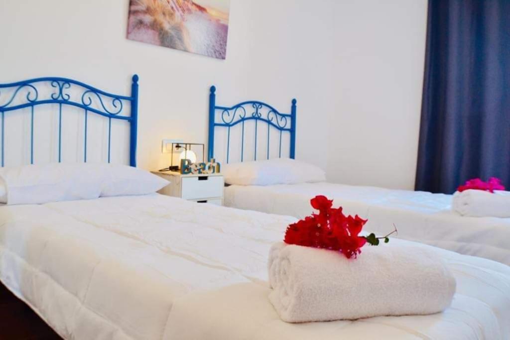 46 B-rent * Corralejo