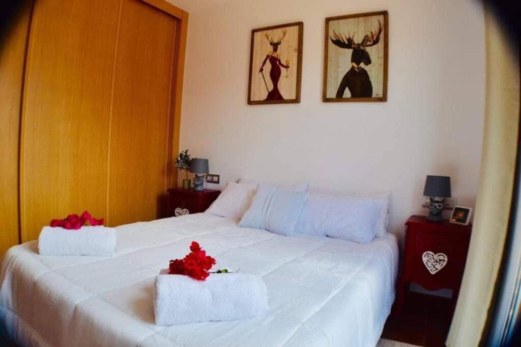 46 B-rent *