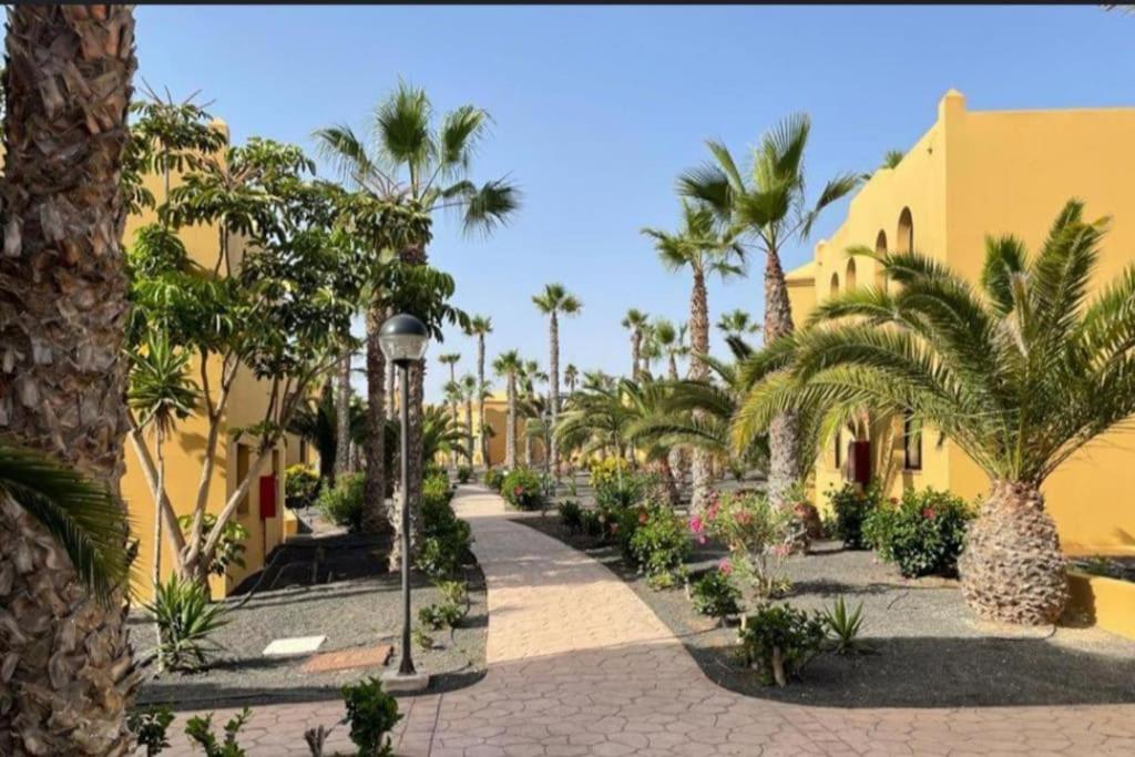 Casa Damar Corralejo
