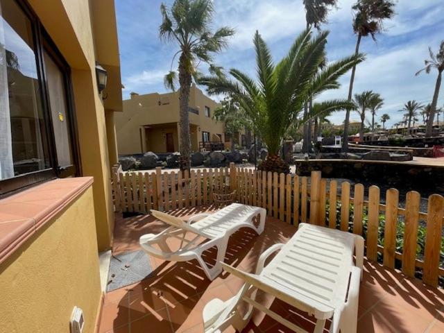 The Little Palm Apartment