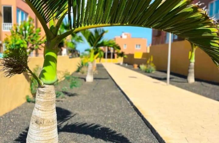 Apartment Dunas Dream Pool/chillout/ocean View Corralejo