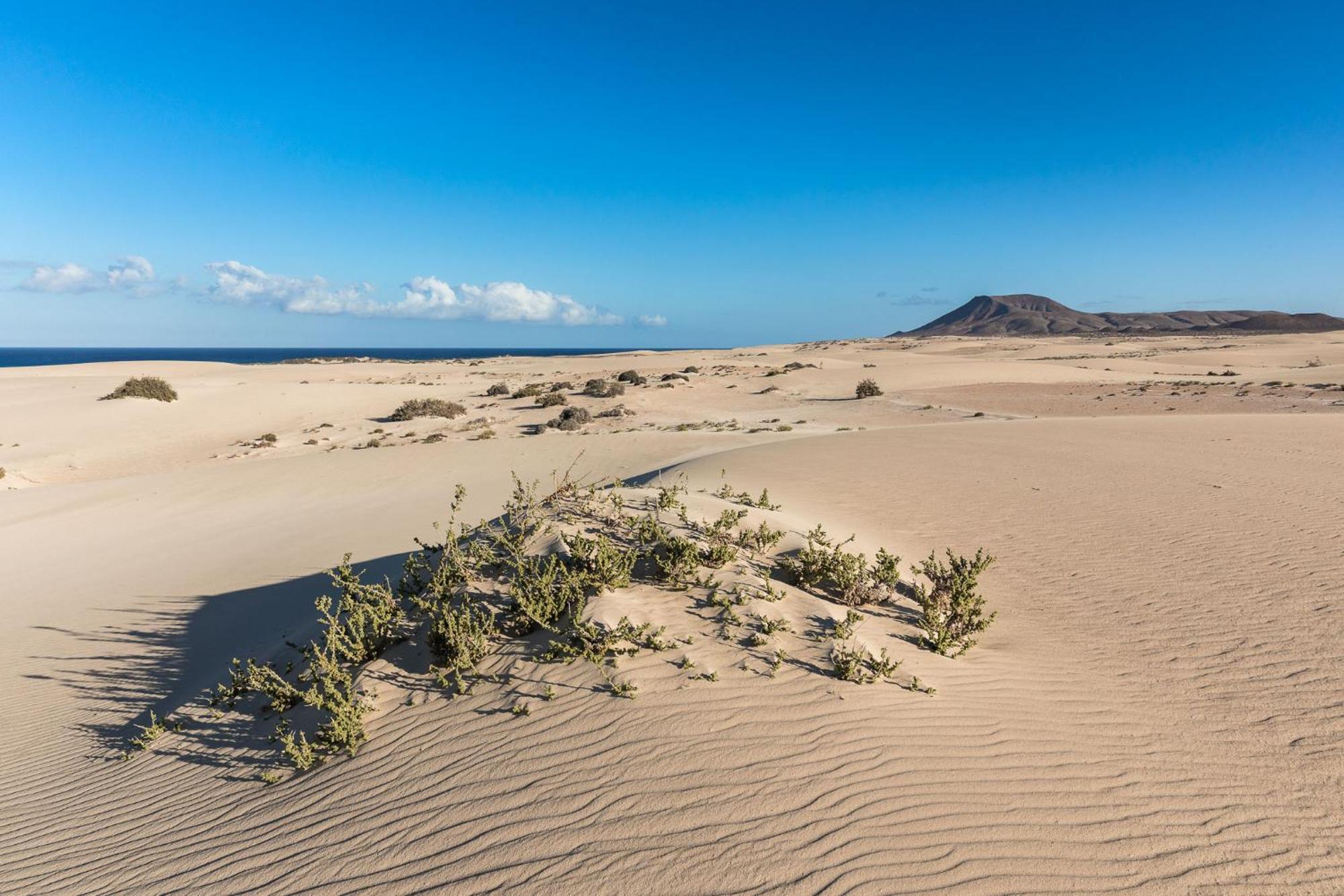 Casa Prima By Sea You There Fuerteventura Holiday home *