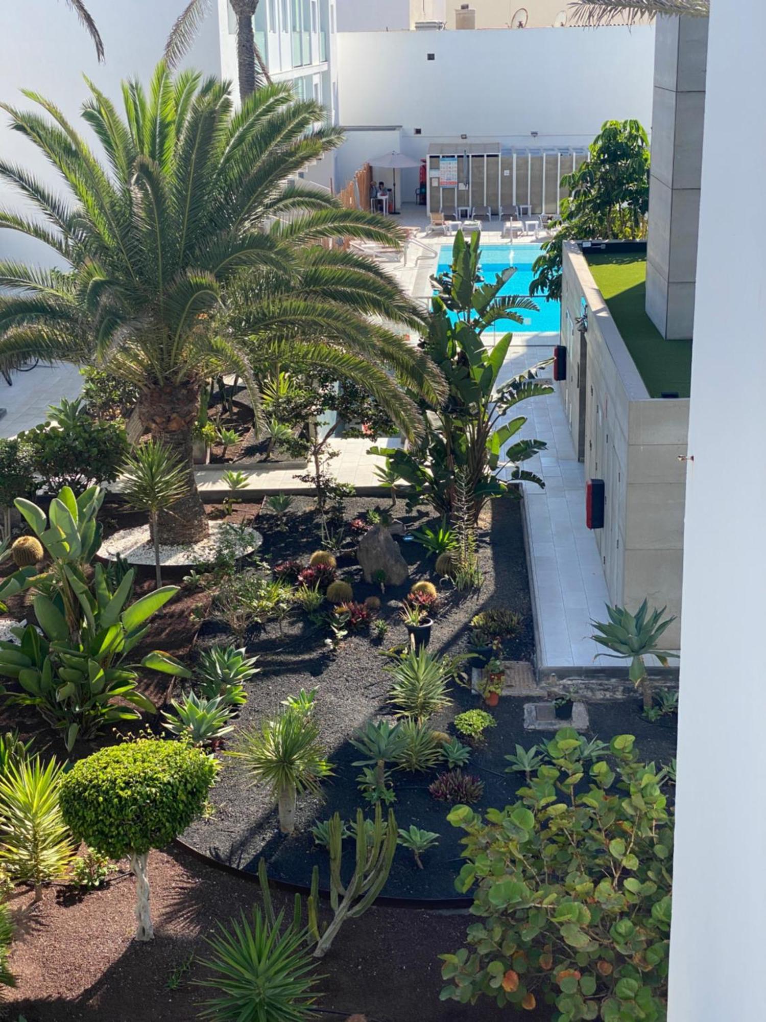 Sun And Surf Apartment