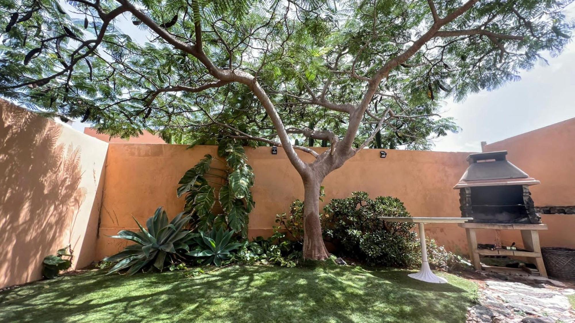 Casa de férias Orquidea