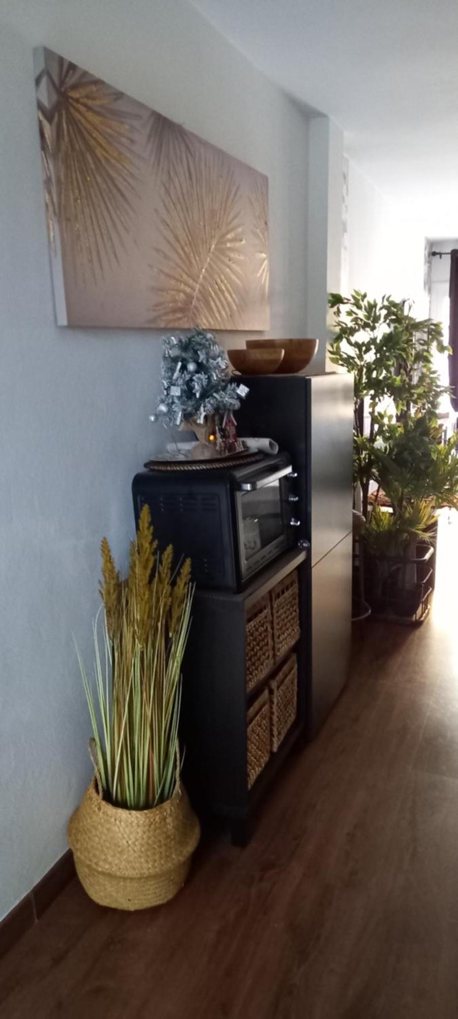 Apartment Marezia