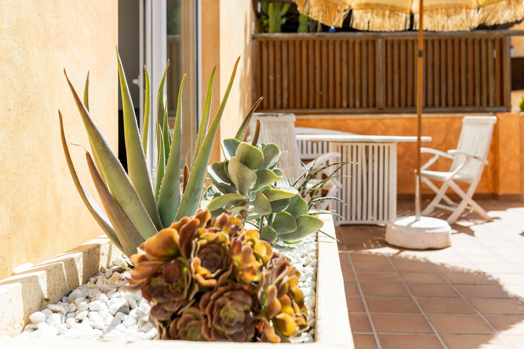 Holiday home Palm House Corralejo