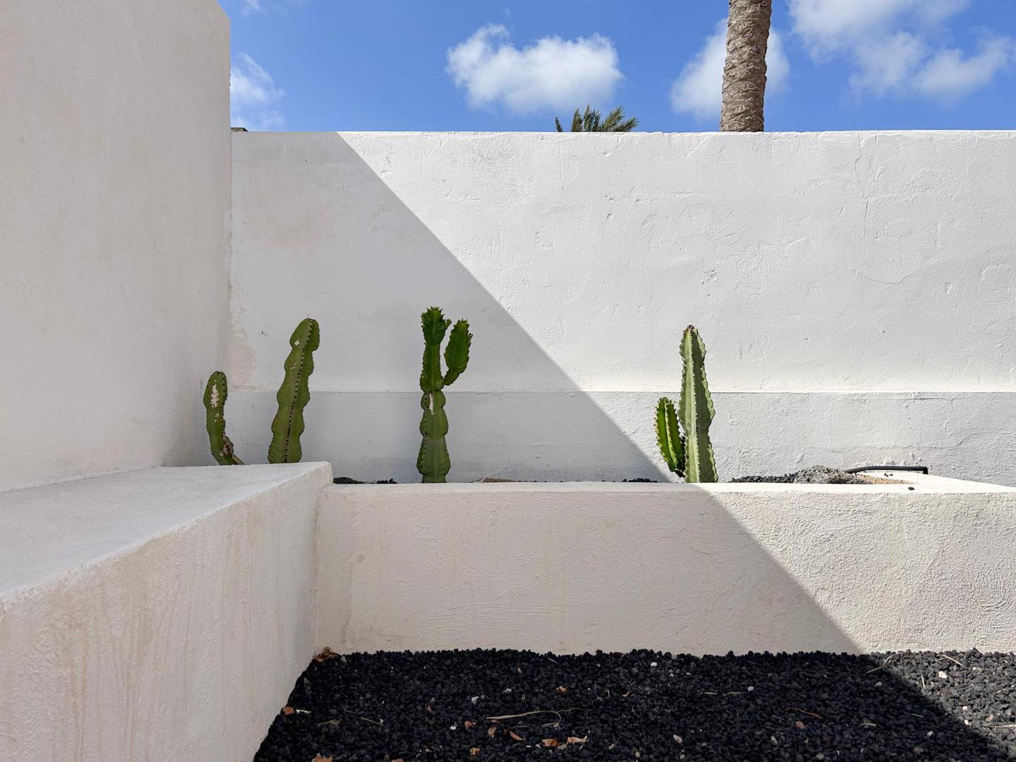 House Boho Palm With Private Heated Pool And Garden, 3 Bedrooms, Wi-fi *