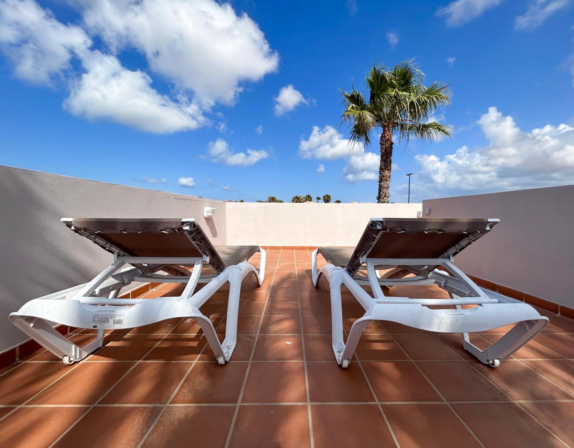 House Boho Palm With Private Heated Pool And Garden, 3 Bedrooms, Wi-fi Villa *