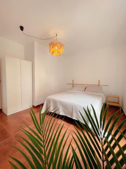 Casa Bamboo Corralejo, Relax, Piscina Y Parking Privado
