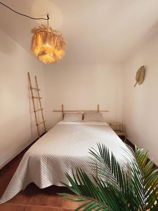 Apartment Casa Bamboo Corralejo, Relax, Piscina Y Parking Privado