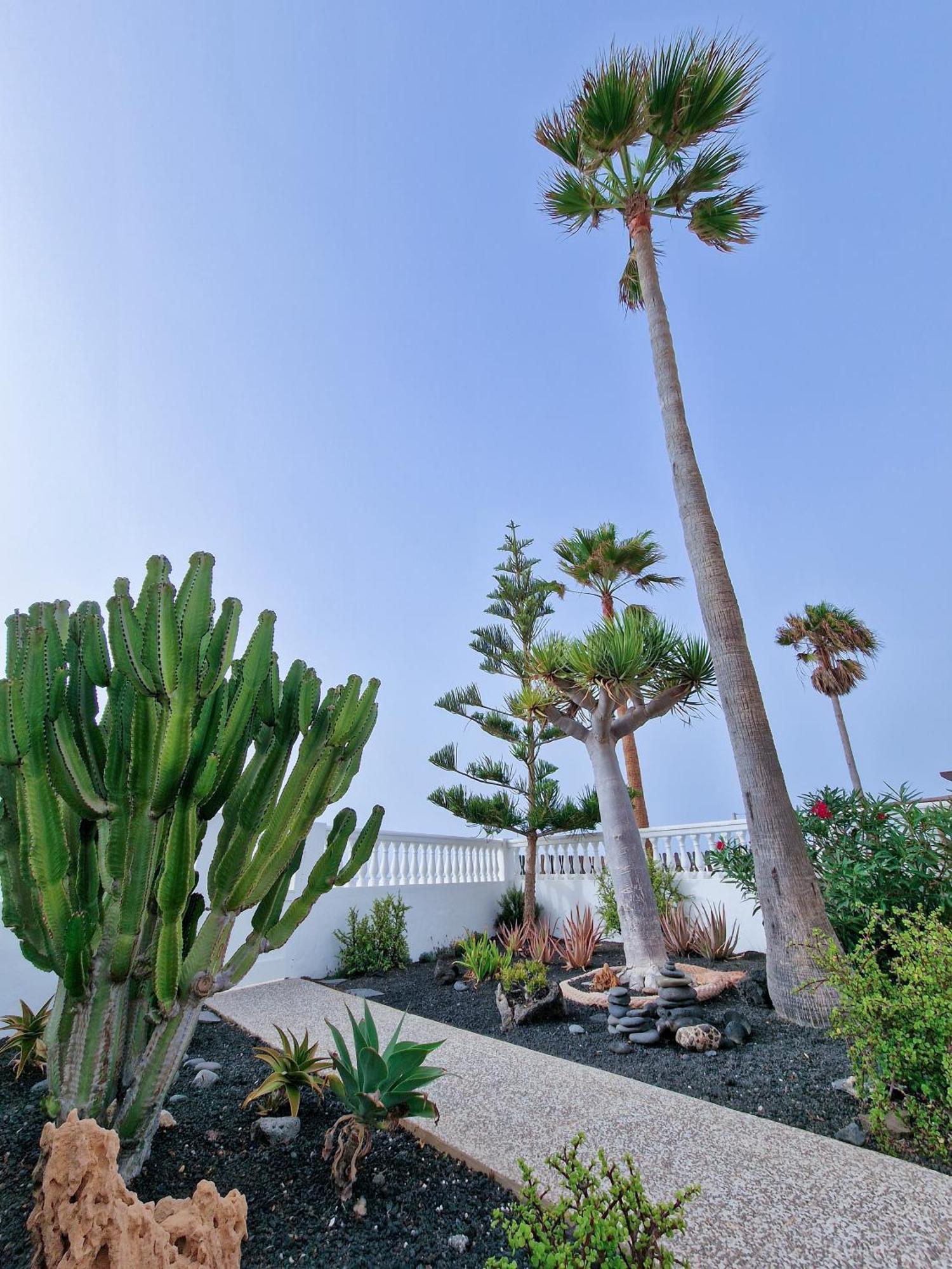 La Maja Beachfront Corralejo