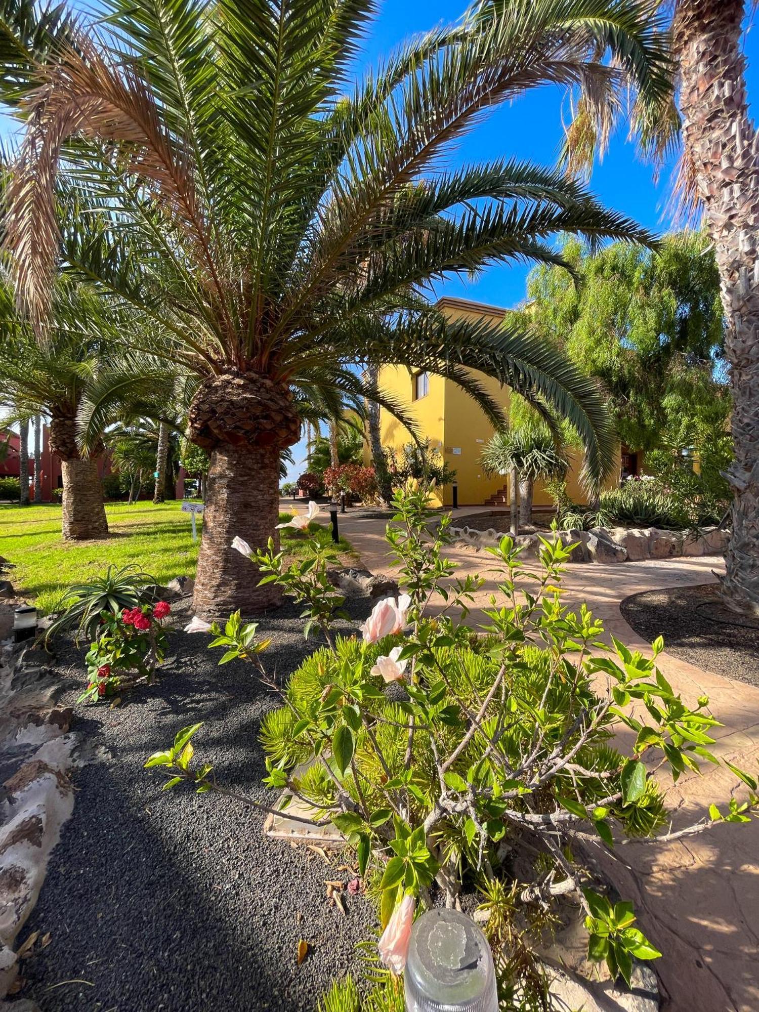 Karol By Holidays Fuerteventura Apartment *