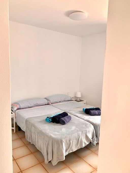 Casa Gato Apartment *