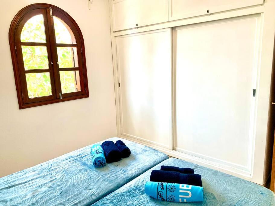 Casa Delfin *