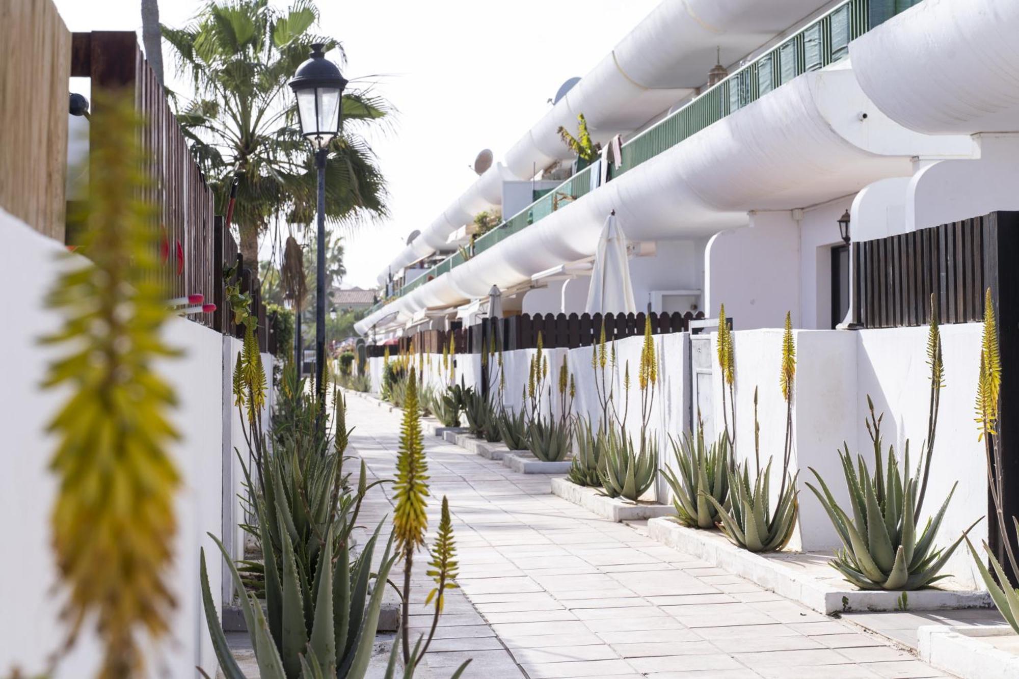 Piso Dunas Blu - Carpe Mundi Holiday home