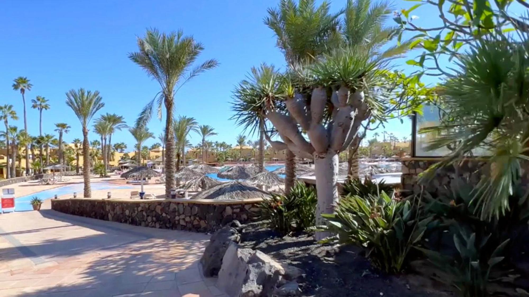 Casa Sofia Apartment Corralejo