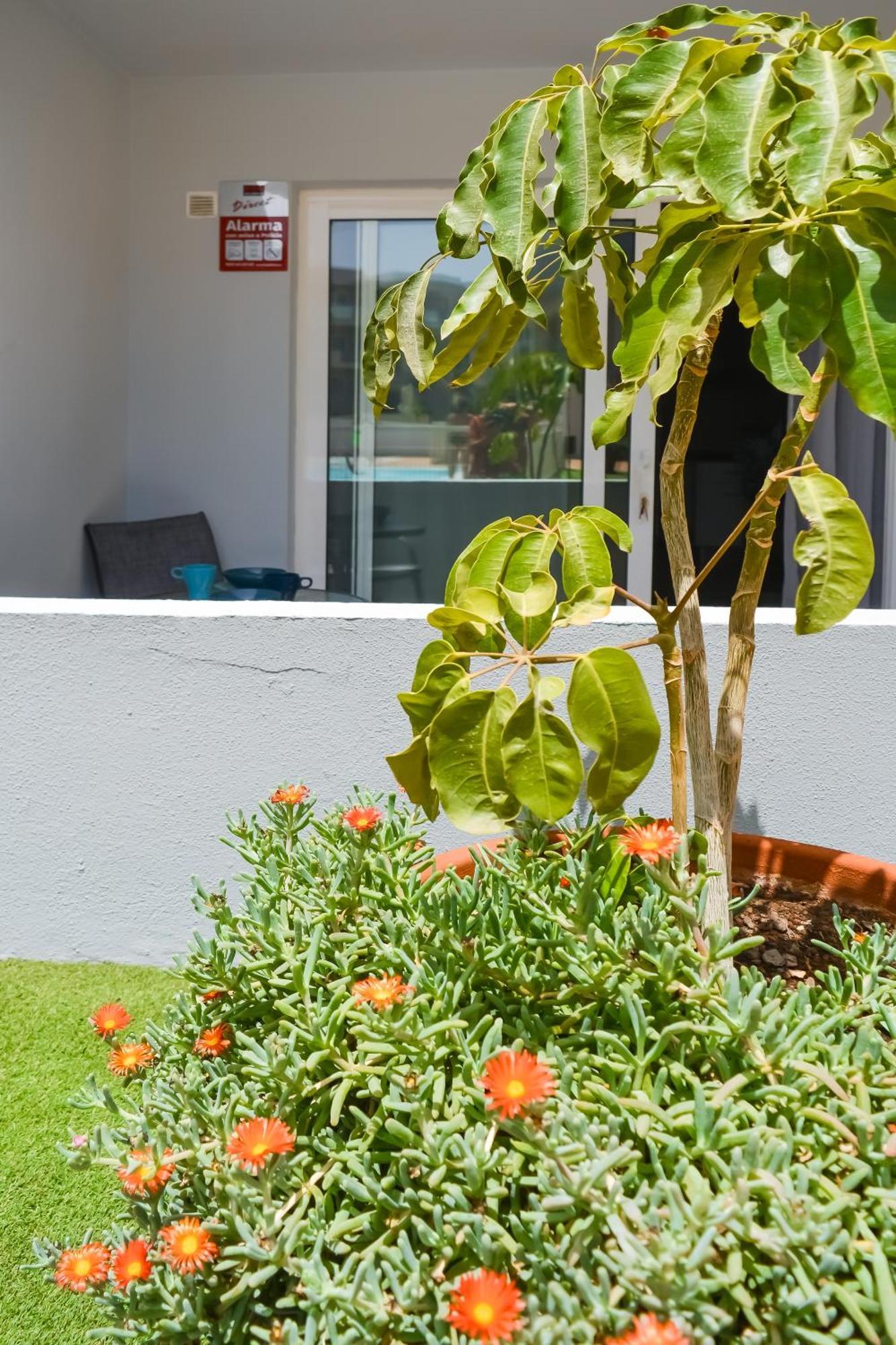 Paradise Palms I Deluxe, Incl. Welcome Package *