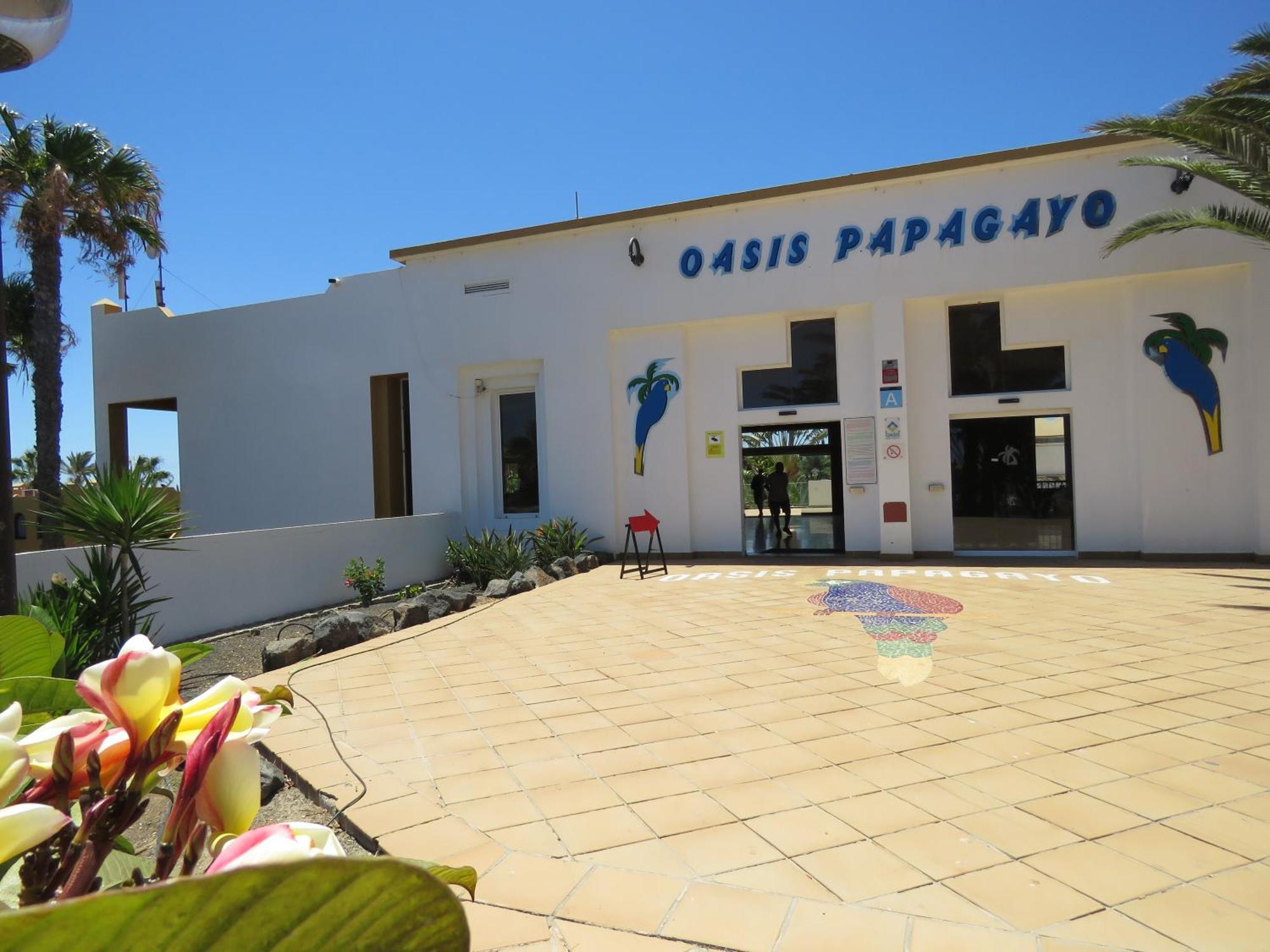 Gino House Corralejo