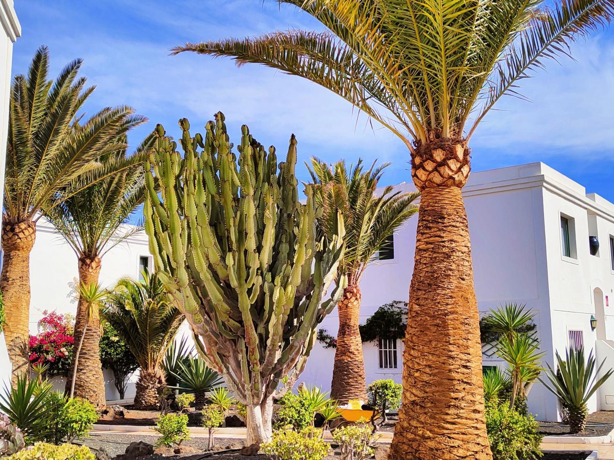 Appartement Flor De Dunas Pools Wifi Tennis Bikes For Free *
