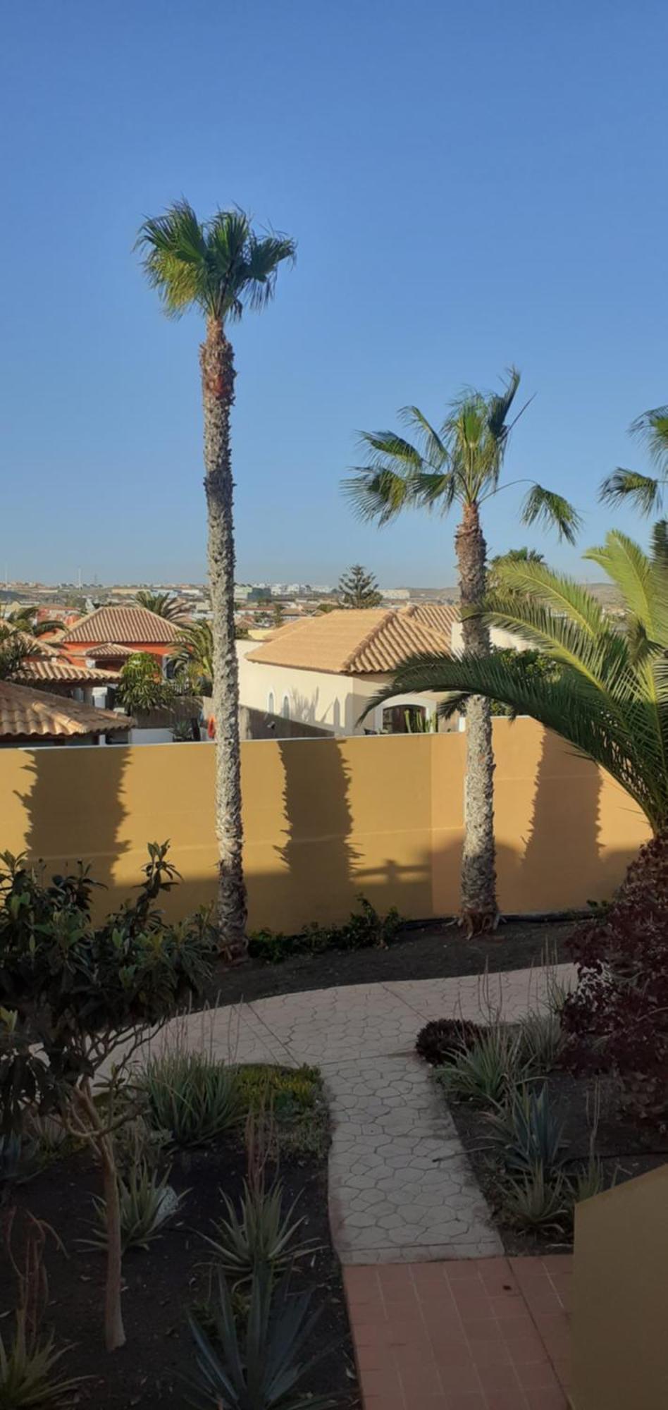Apartment Oasis Waves House Papagayo Corralejo
