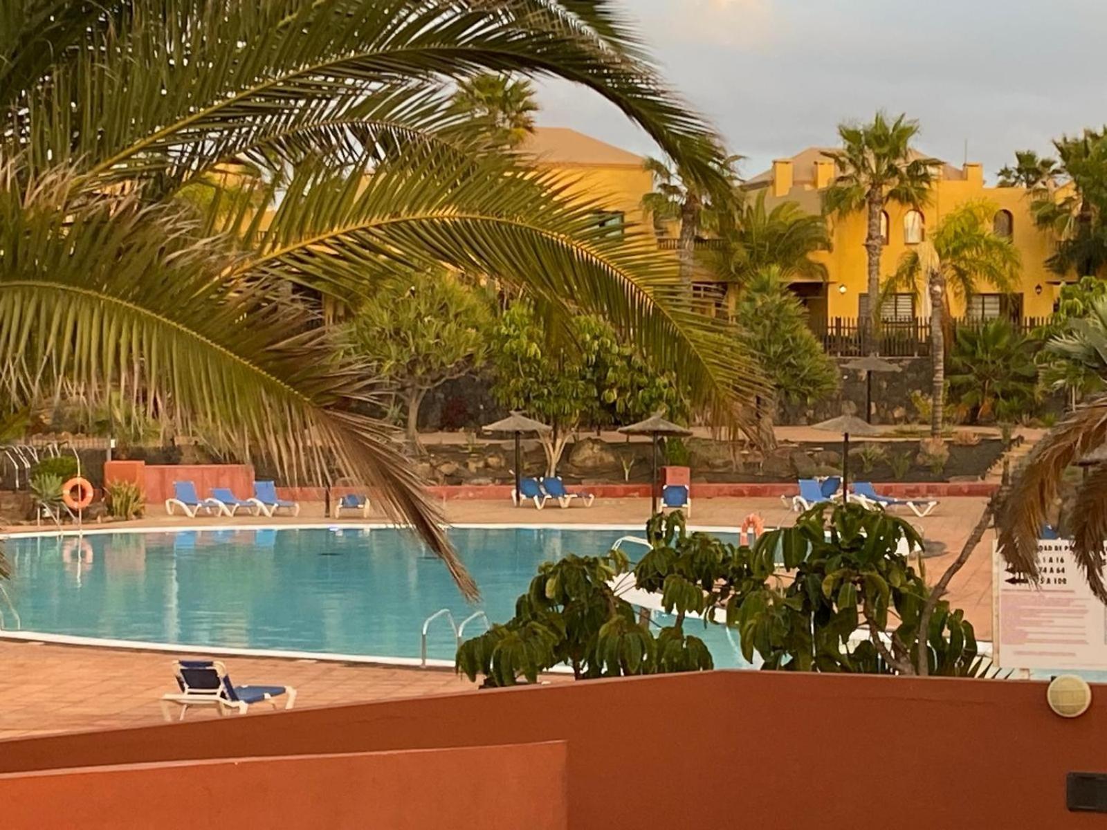 Apartment Adamsurfcom Corralejo