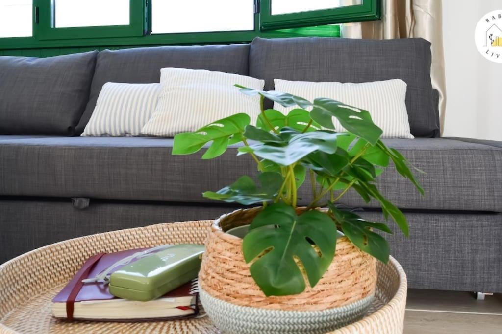 Casa Alicia Town By Babiniliving Appartement *