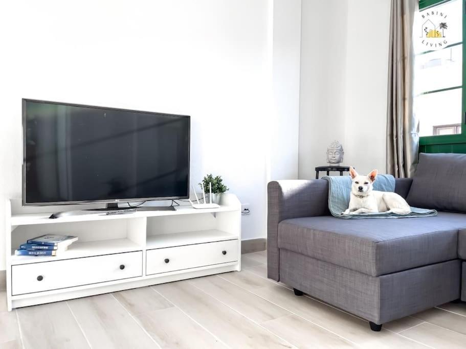 Appartement Casa Alicia Town By Babiniliving