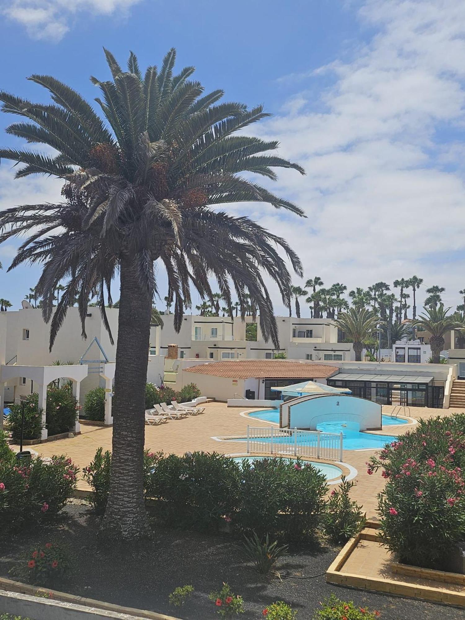 Apartment Alisios Playa