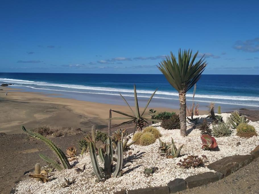 Fuerteventura 1 - Atlantic Garden 117