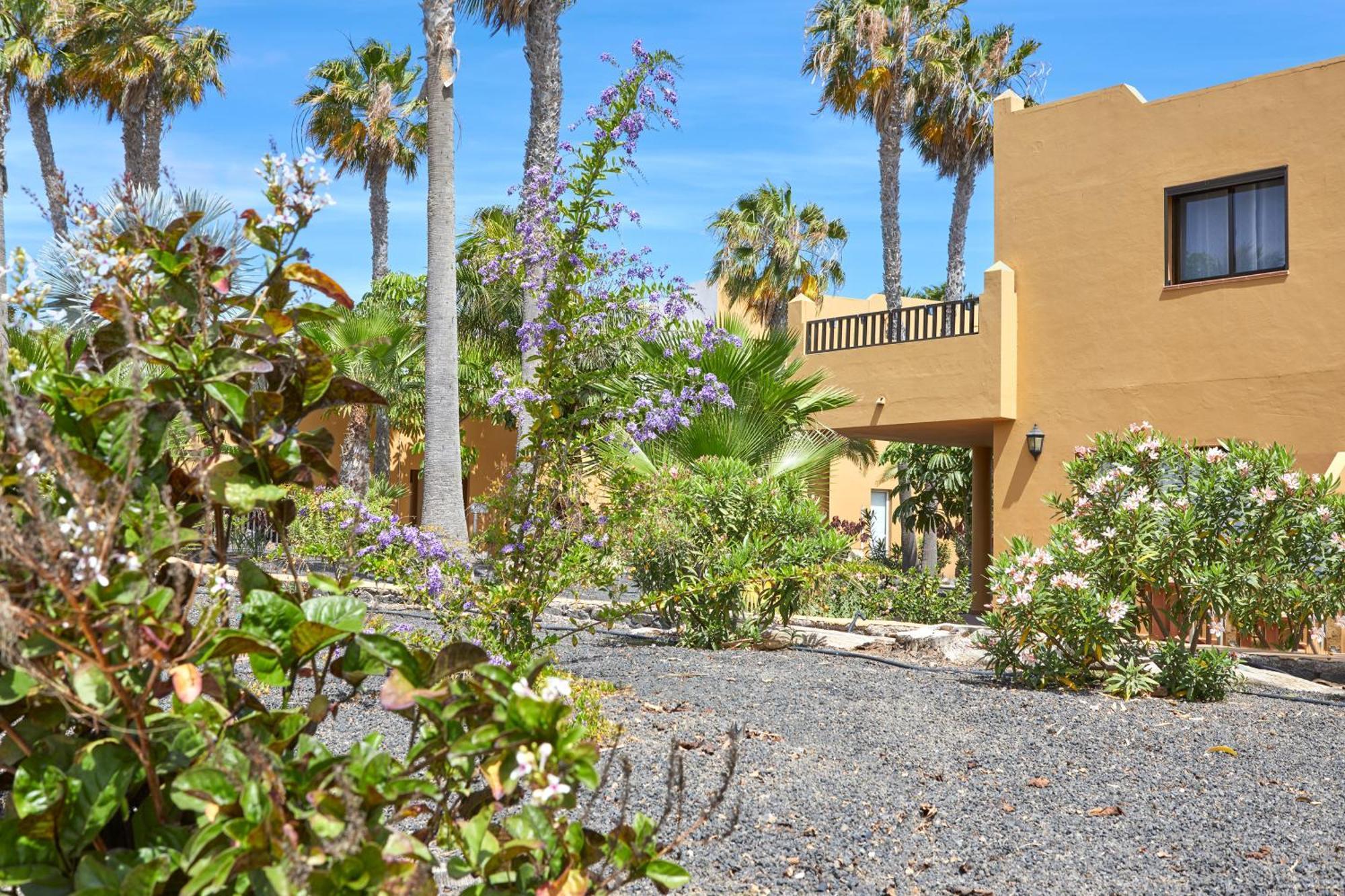 Samira Fuerteventura *