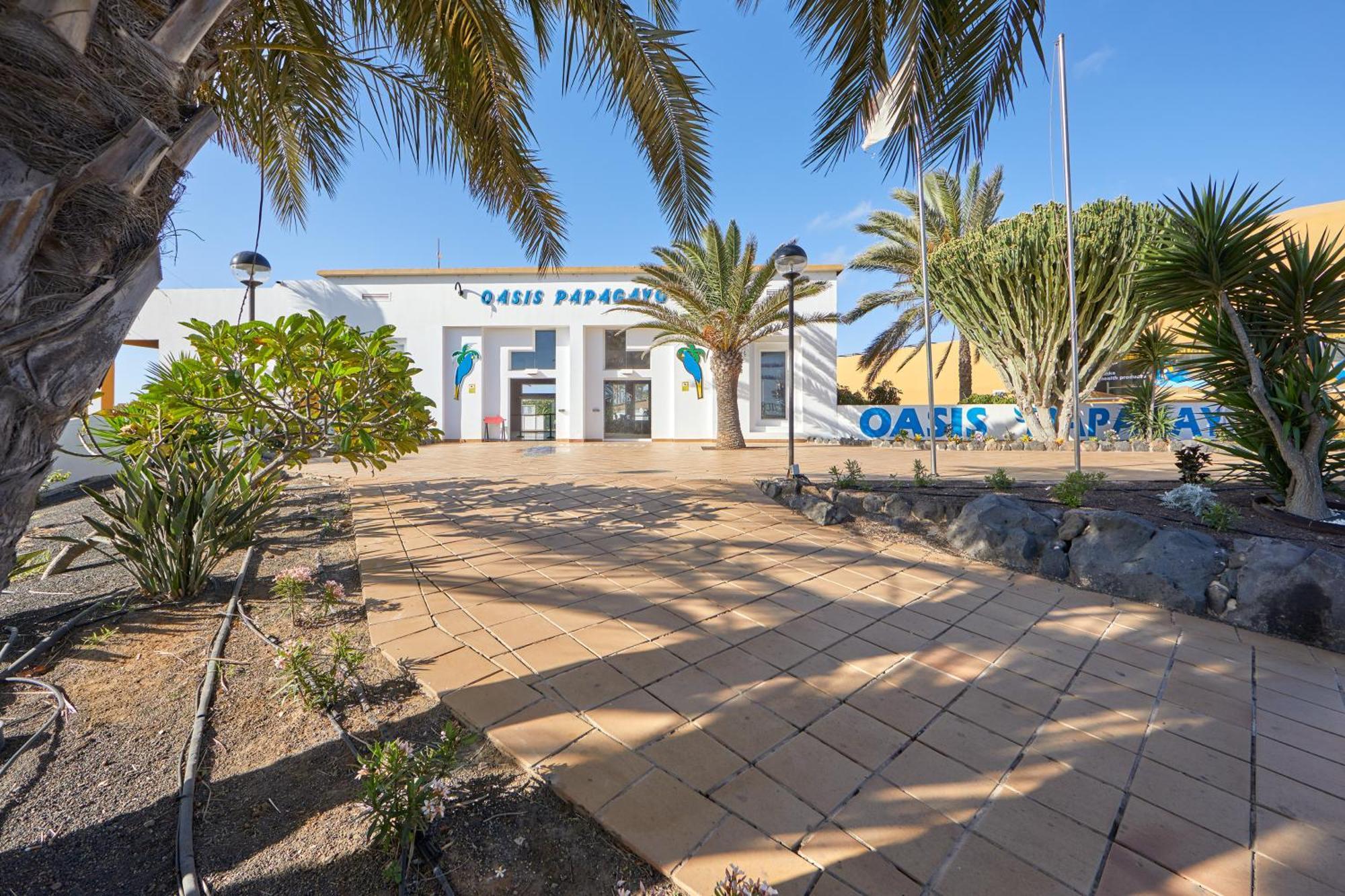 Samira Fuerteventura Corralejo