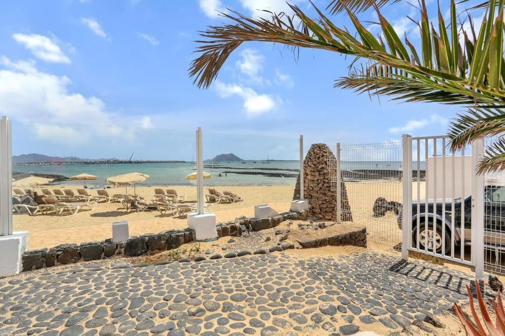 New - Amazing By The * Corralejo