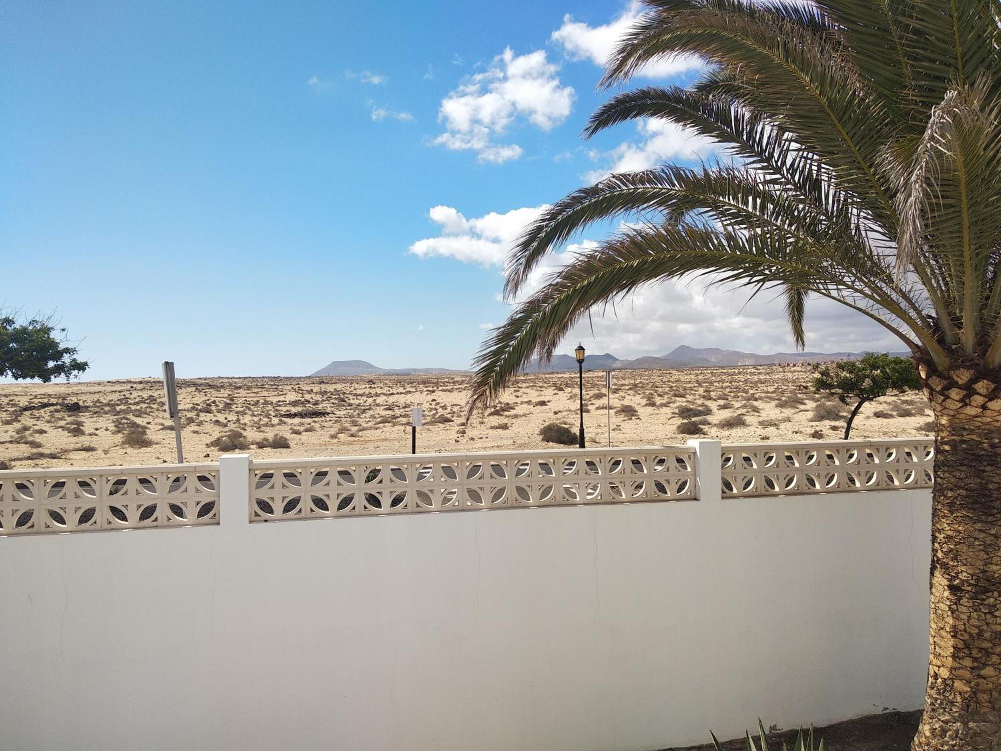 Avatea Corralejo