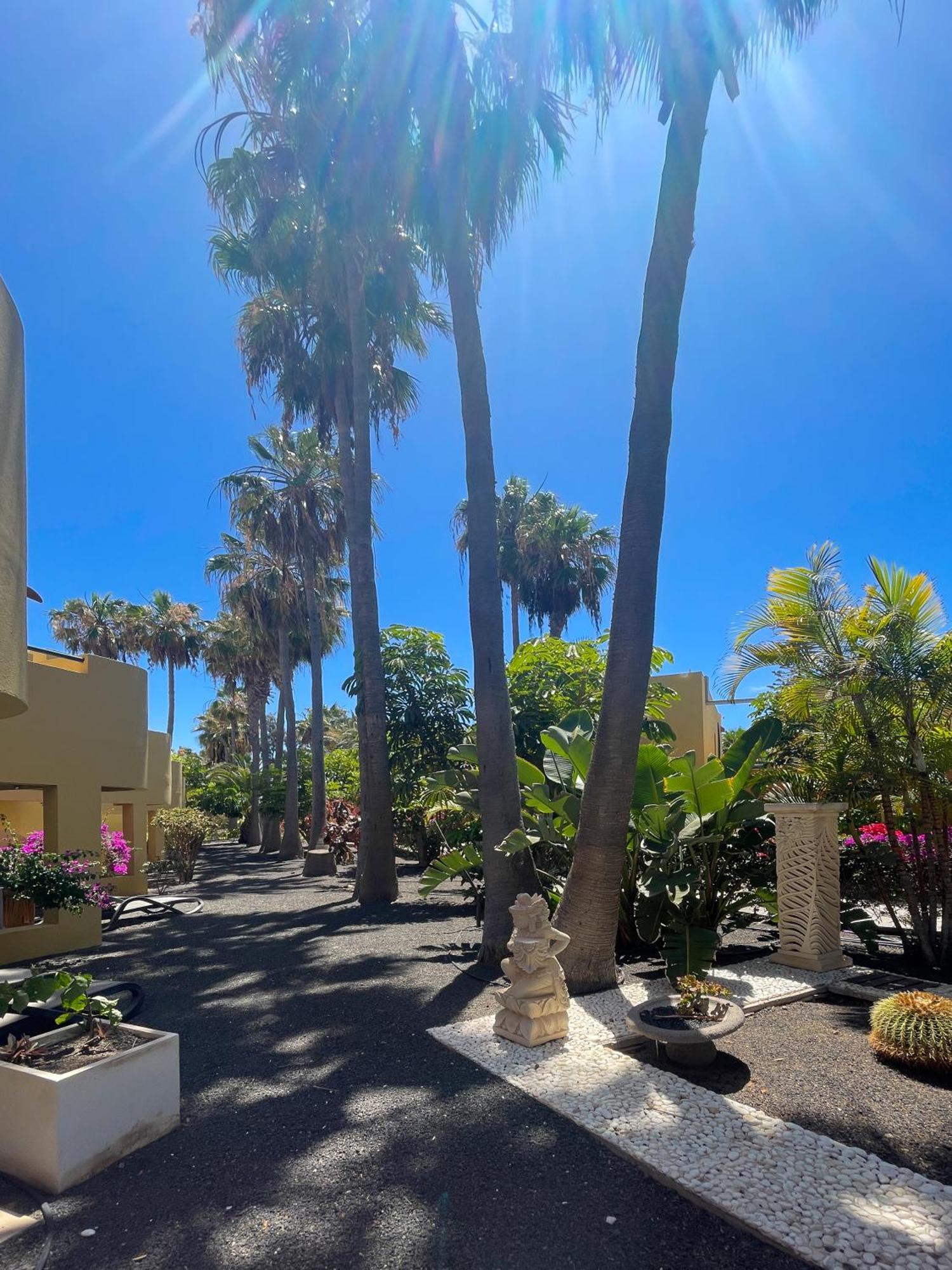 B-rent Atlantic Garden 181 Apartamento Corralejo