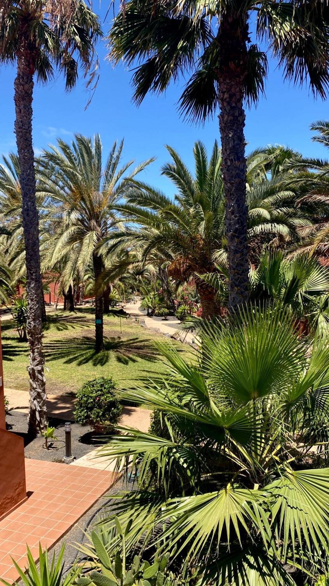 Fuerteventura *