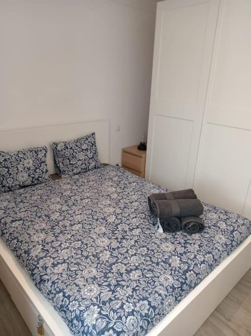 Suite Central Corralejo Apartment *