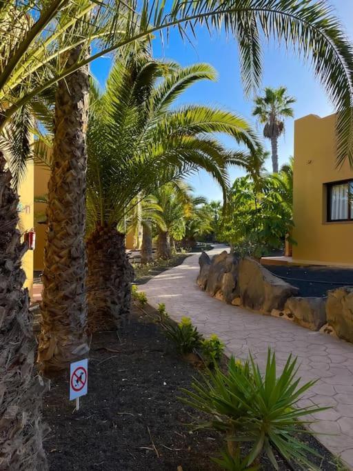 Apartment Oasis La Palmera Corralejo