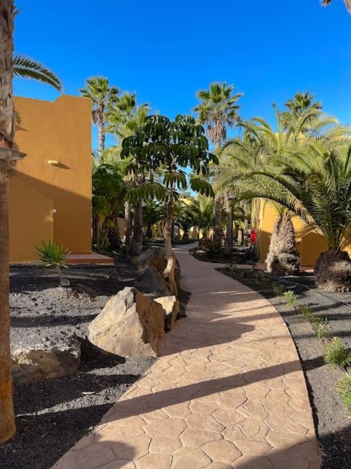 Oasis La Palmera *
