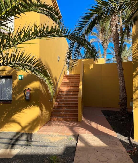 Oasis La Palmera