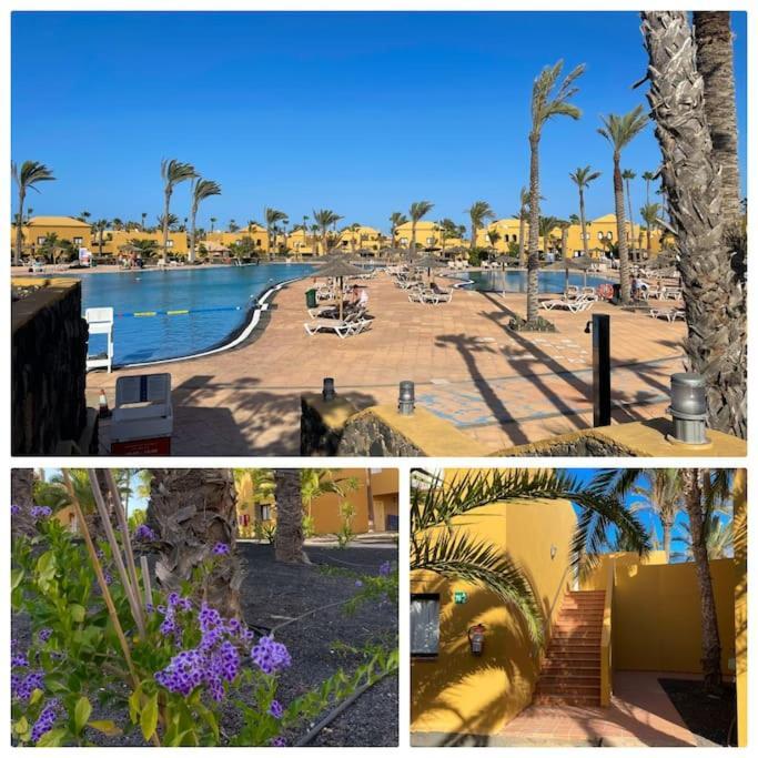 Oasis La Palmera Apartment Corralejo