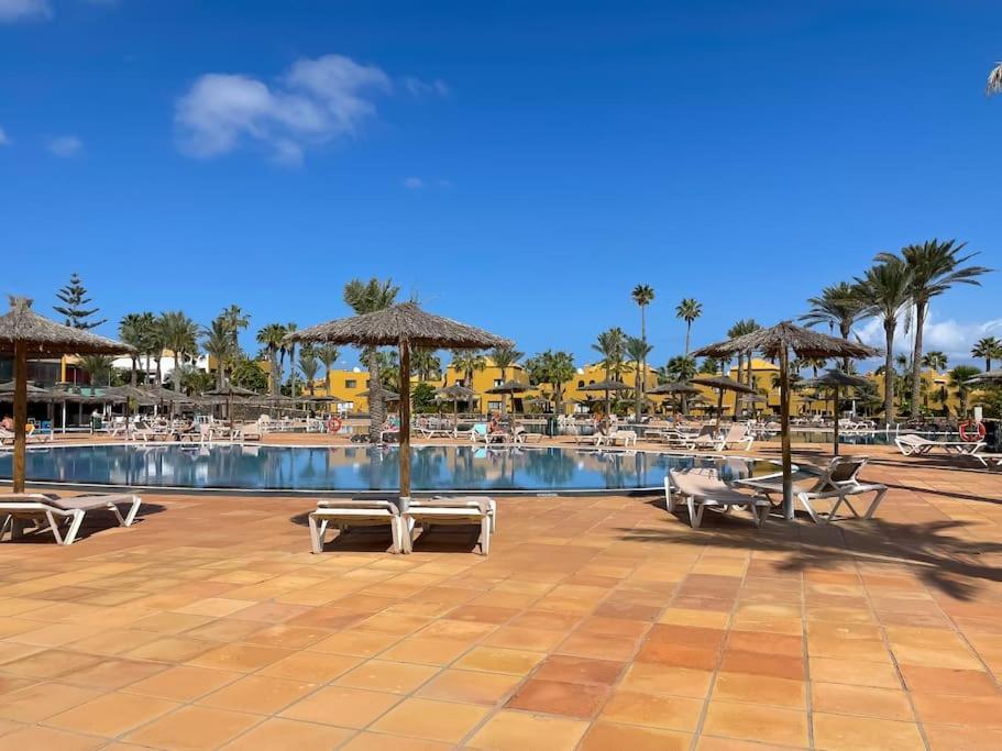 Oasis La Palmera *