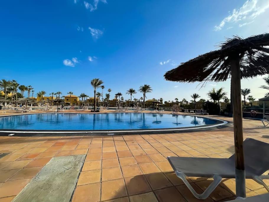Oasis La Palmera