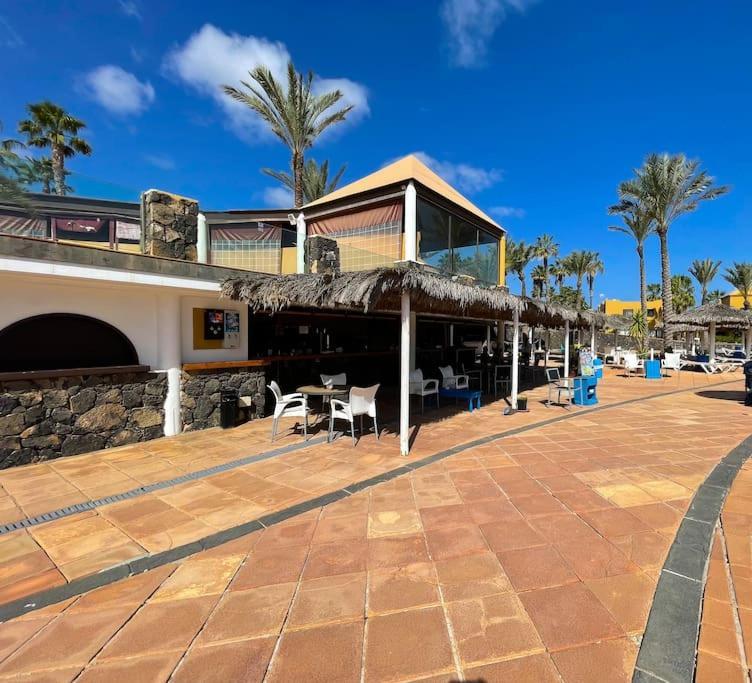 Oasis La Palmera