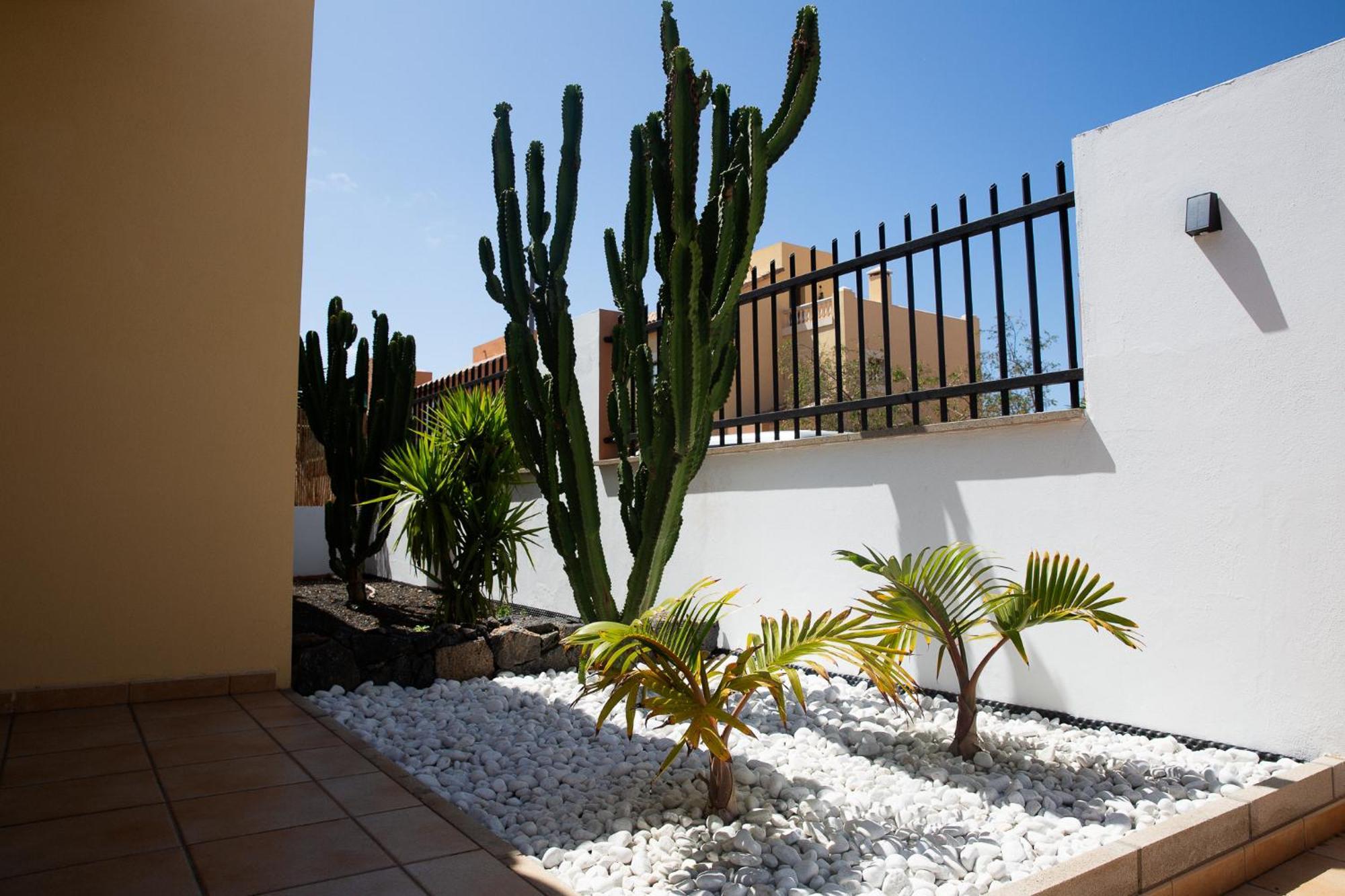 Surf Dream Villa *