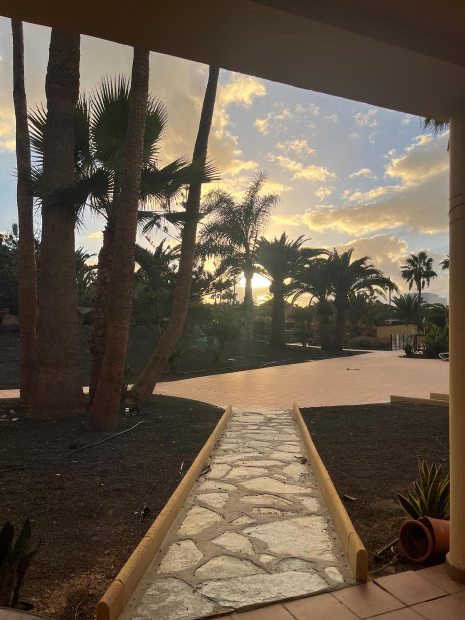 Apartment Oasis Royal Corralejo