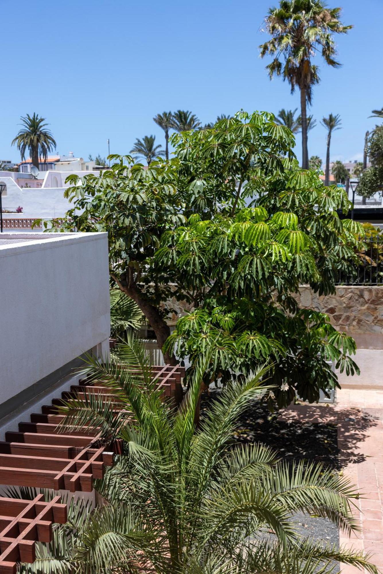 Fuentepark 3* Corralejo