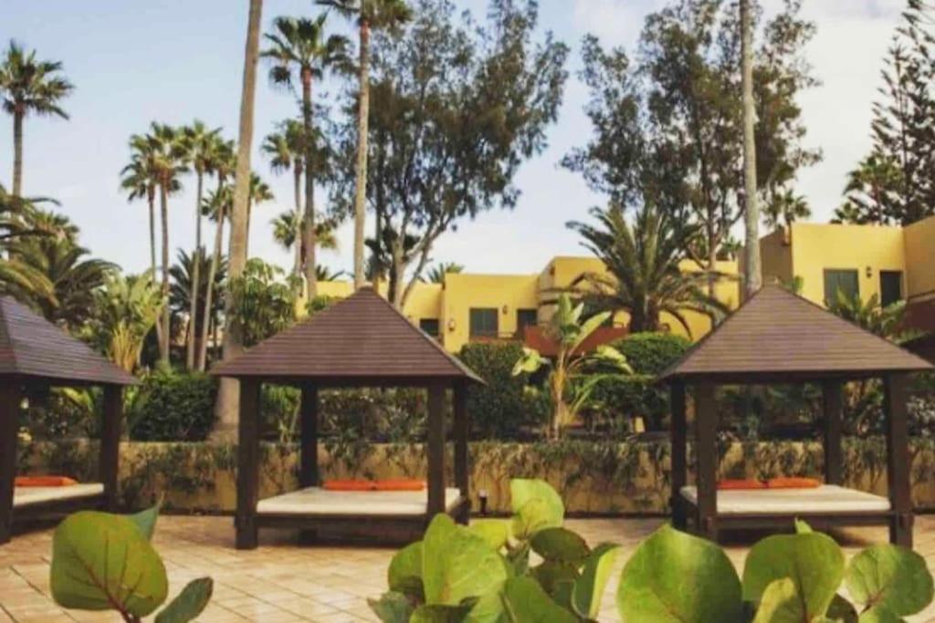 Atlantic Garden - Quiet Apartment, And Close To The Apartment *