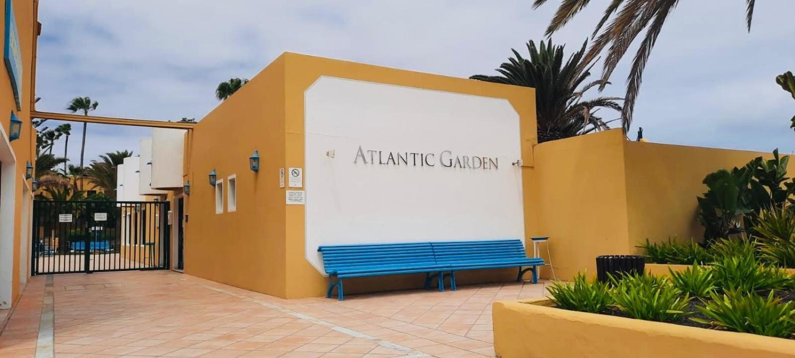 Pura Vida